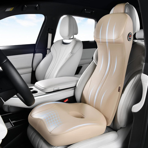 Car seat cushion - cushion, and