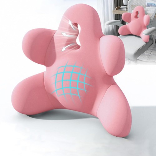 Lumbar support pillow for - support,