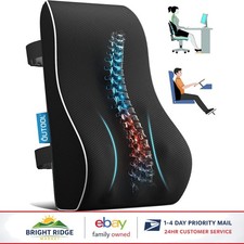 Portable Lumbar Support