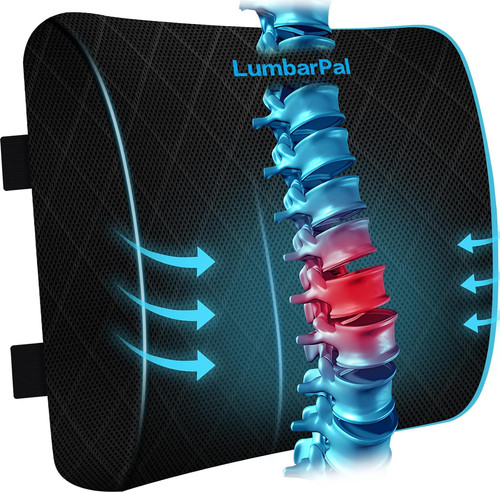 Lumbar support pillow for - support,